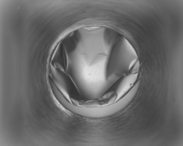 X0000080201528200701051736