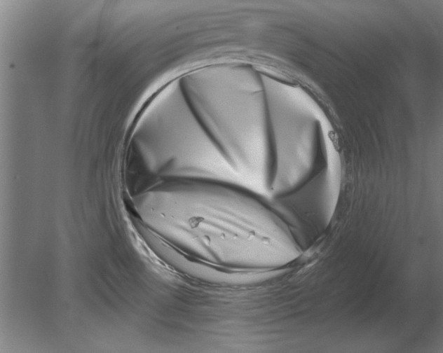 X0000080201530200701051736