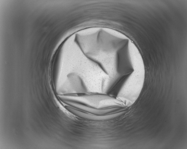 X0000080201531200701051736