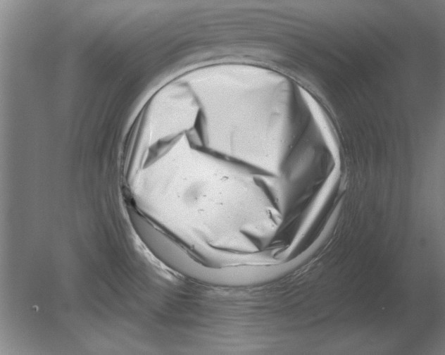 X0000080201532200701051736