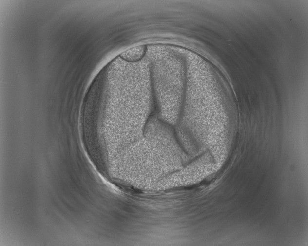 X0000080201533200701051736