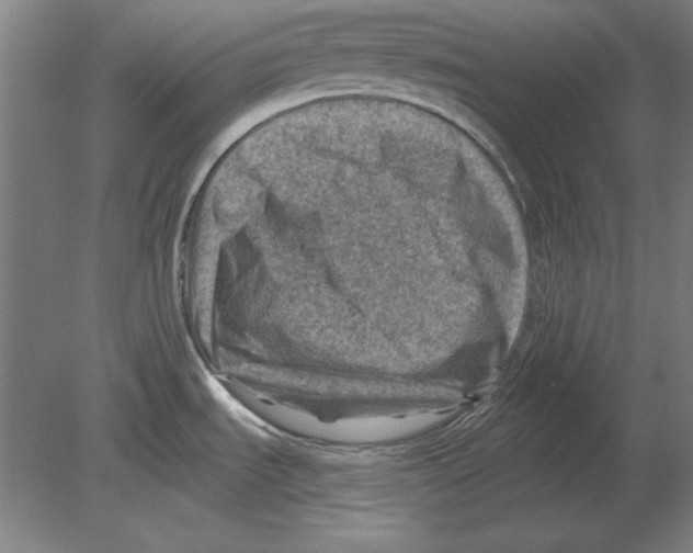 X0000080201535200701051736