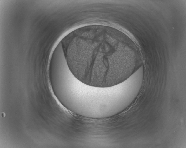 X0000080201536200701051736