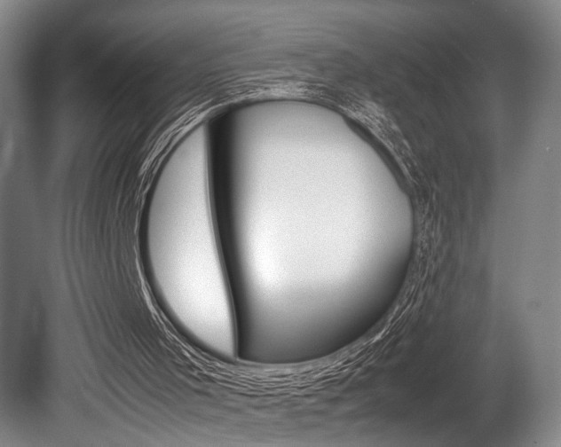 X0000080660001200612150747