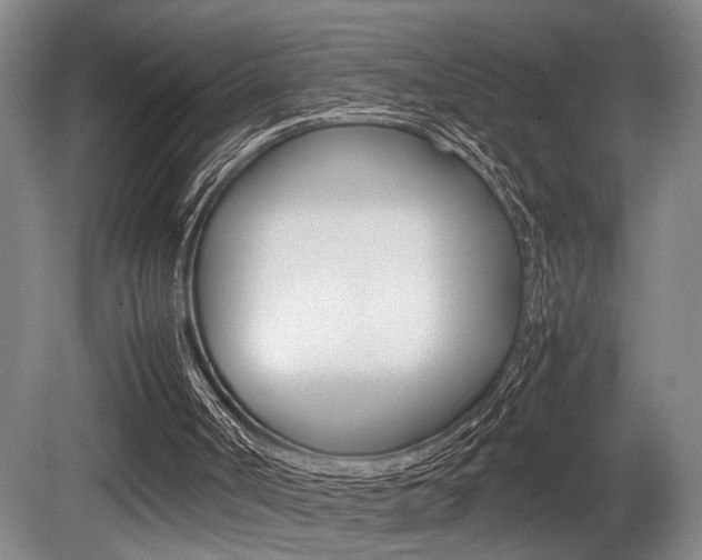X0000080660002200612150747