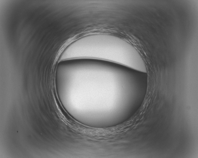 X0000080660003200612150747