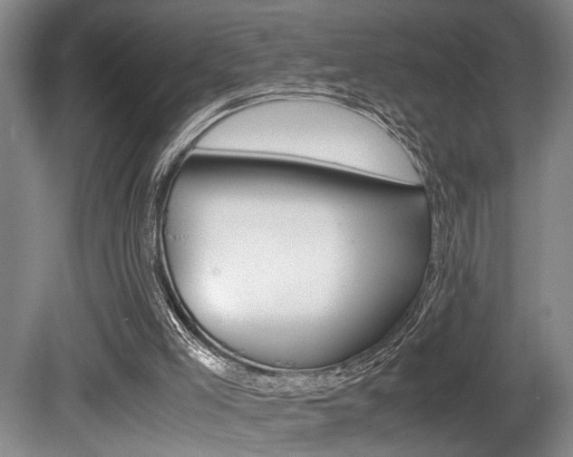 X0000080660005200612150747