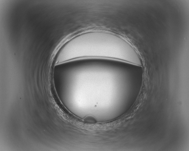 X0000080660007200612150747