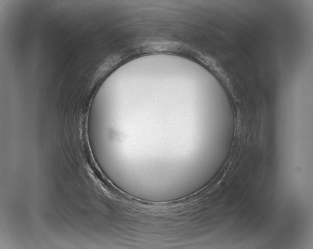X0000080660010200612150747