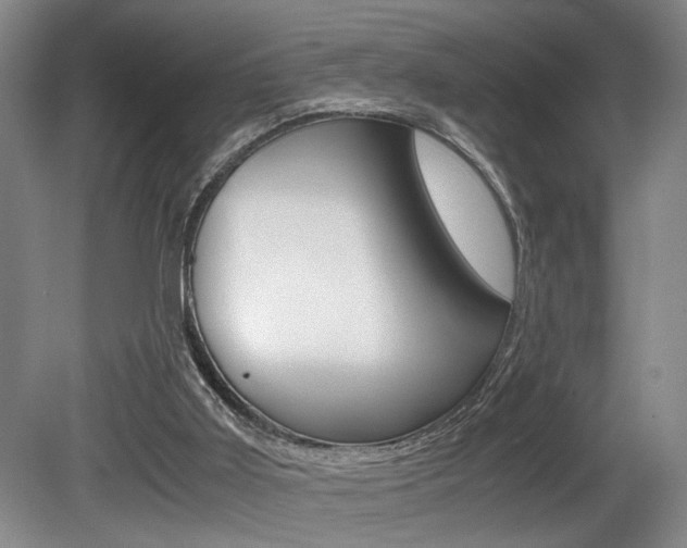 X0000080660011200612150747