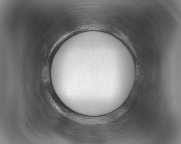 X0000080660012200612150747
