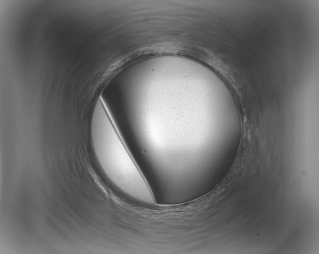 X0000080660013200612150747