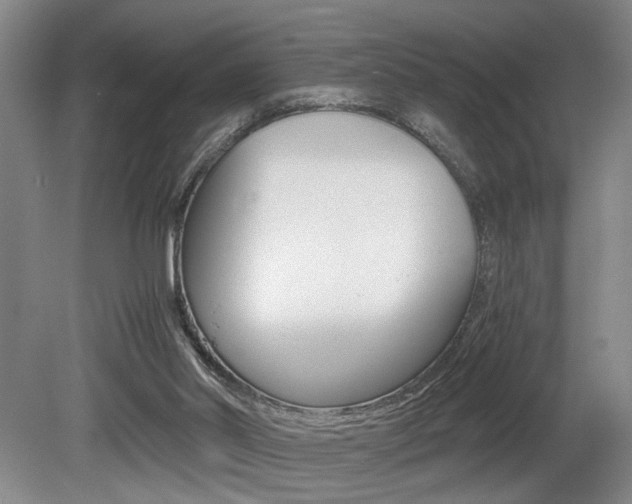 X0000080660014200612150747