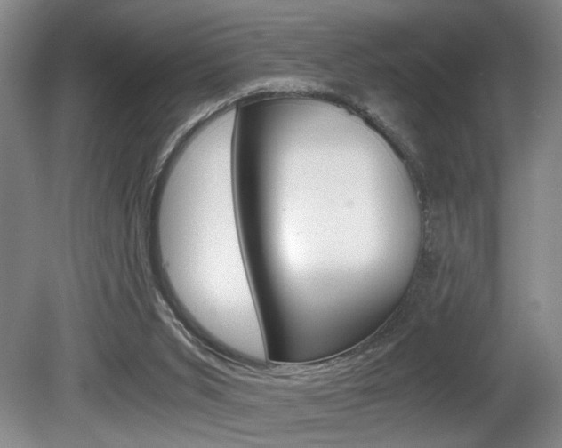 X0000080660015200612150747