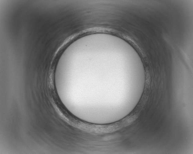 X0000080660016200612150747