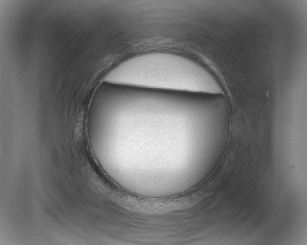 X0000080660018200612150747