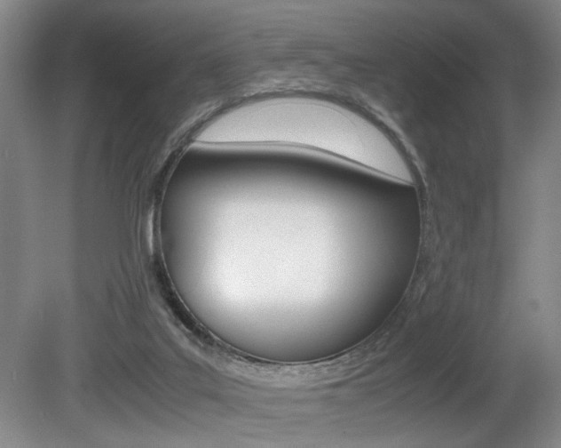 X0000080660019200612150747