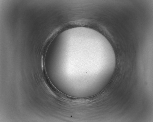 X0000080660020200612150747
