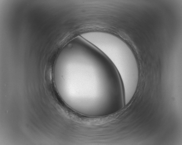 X0000080660021200612150747
