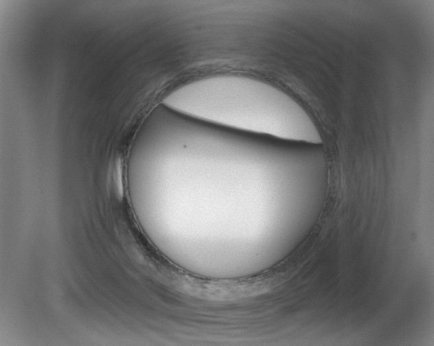 X0000080660022200612150747