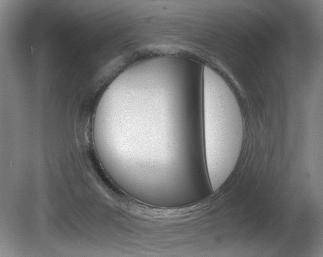 X0000080660023200612150747