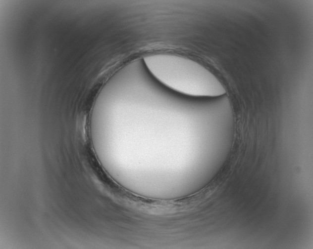 X0000080660024200612150747