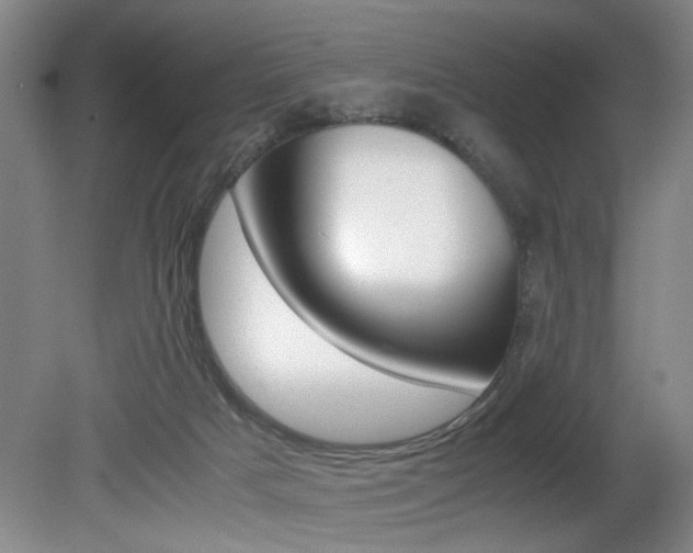 X0000080660025200612150747