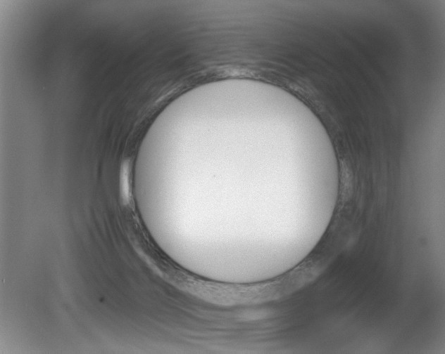 X0000080660028200612150747