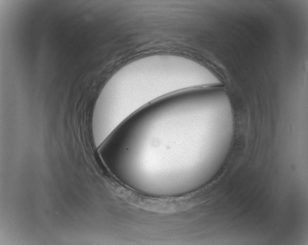 X0000080660029200612150747