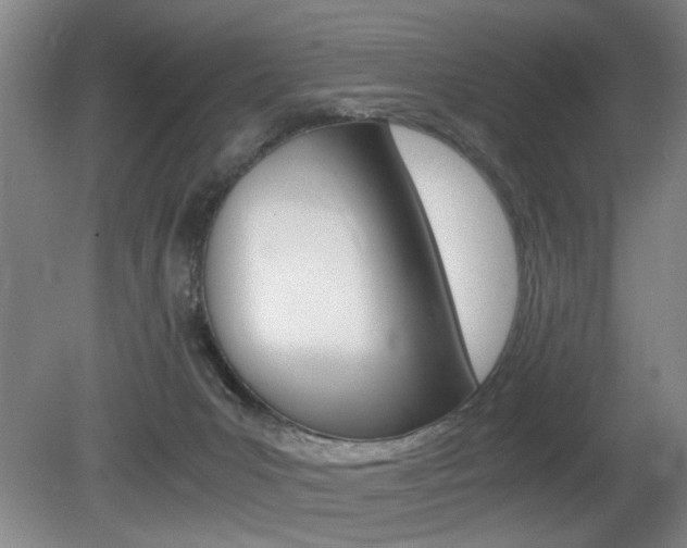 X0000080660031200612150747