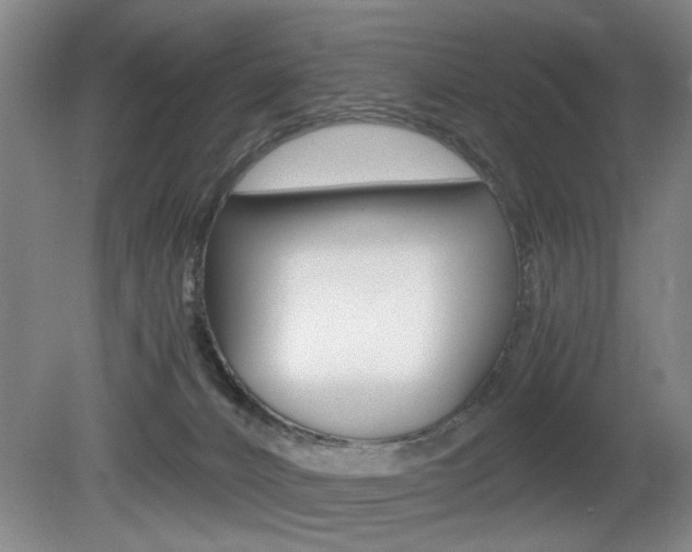 X0000080660032200612150747