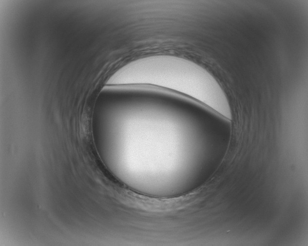 X0000080660035200612150747