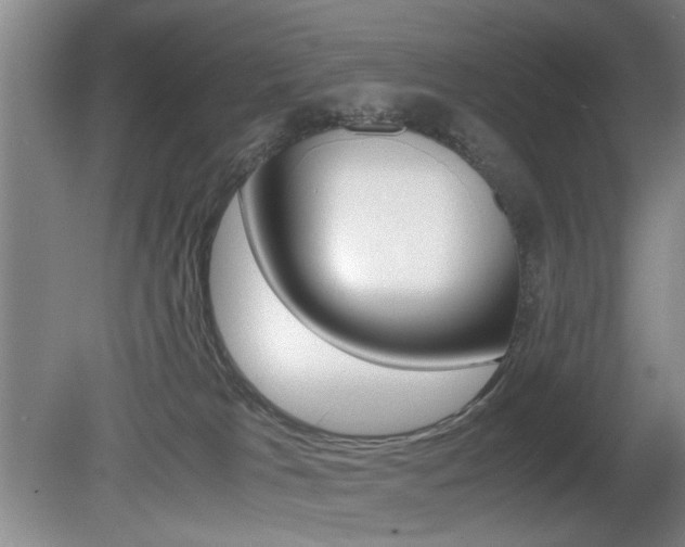X0000080660037200612150747