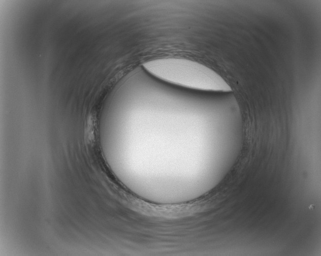 X0000080660038200612150747