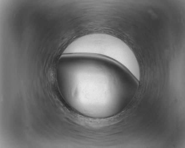 X0000080660039200612150747