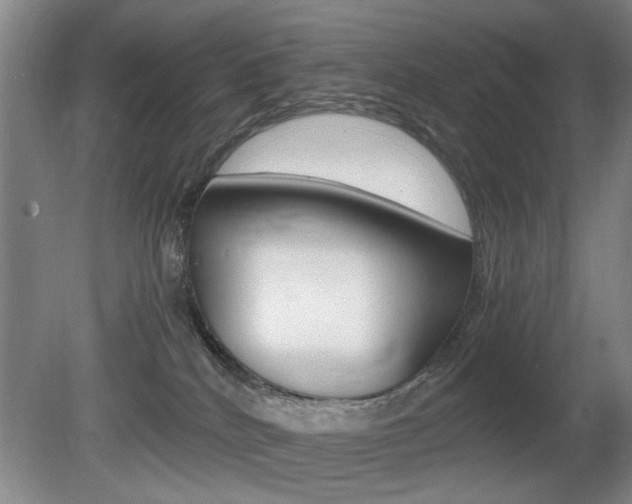 X0000080660040200612150747