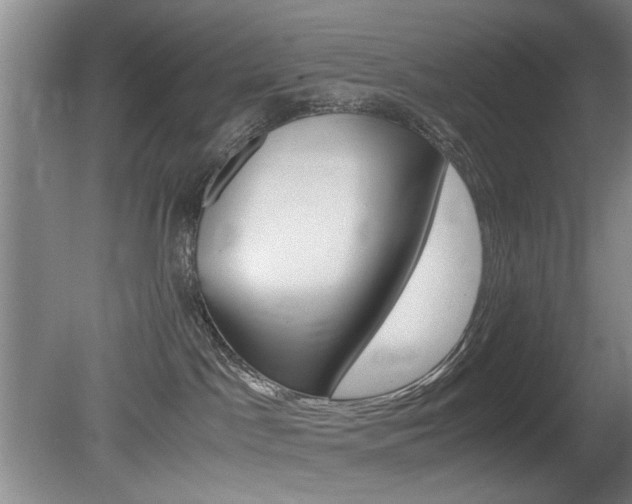 X0000080660045200612150747