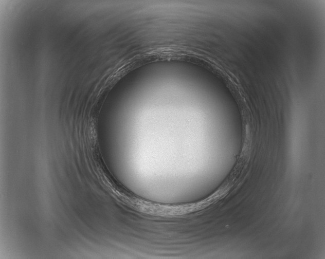 X0000080660048200612150747