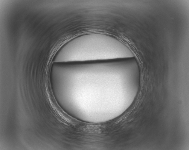 X0000080660049200612150746