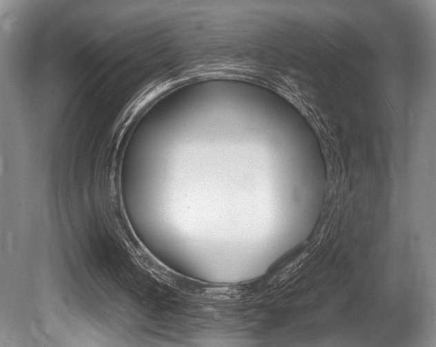 X0000080660050200612150746