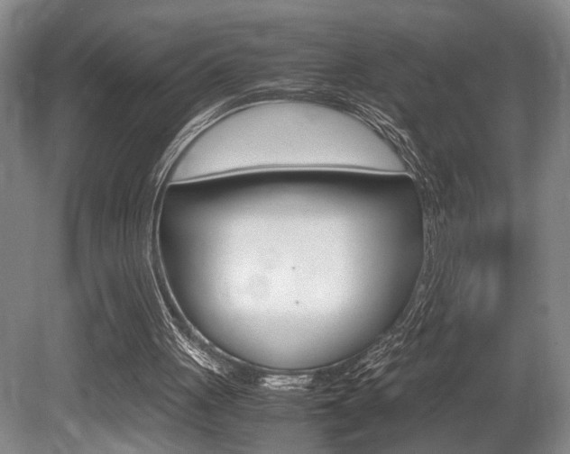 X0000080660051200612150746