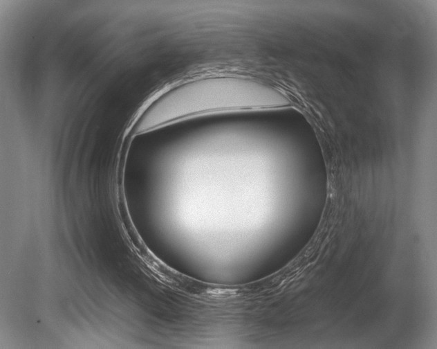 X0000080660052200612150746