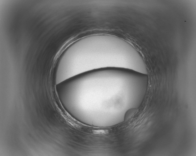 X0000080660053200612150746