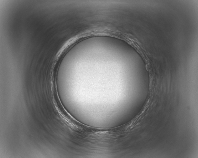 X0000080660054200612150746