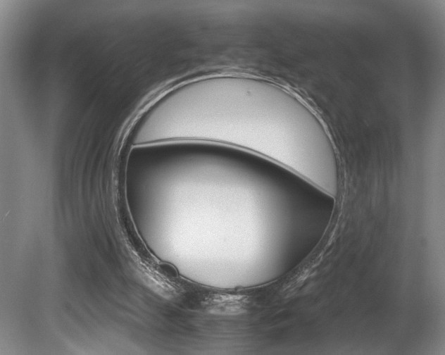 X0000080660055200612150746