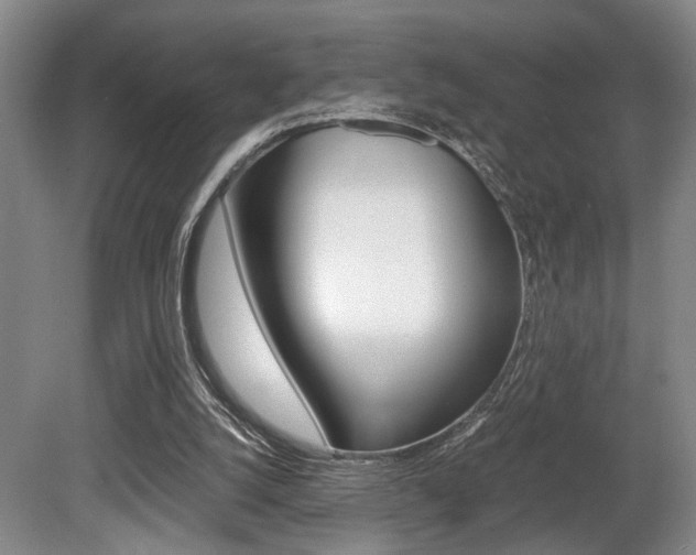 X0000080660056200612150746