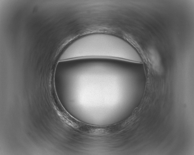 X0000080660058200612150746