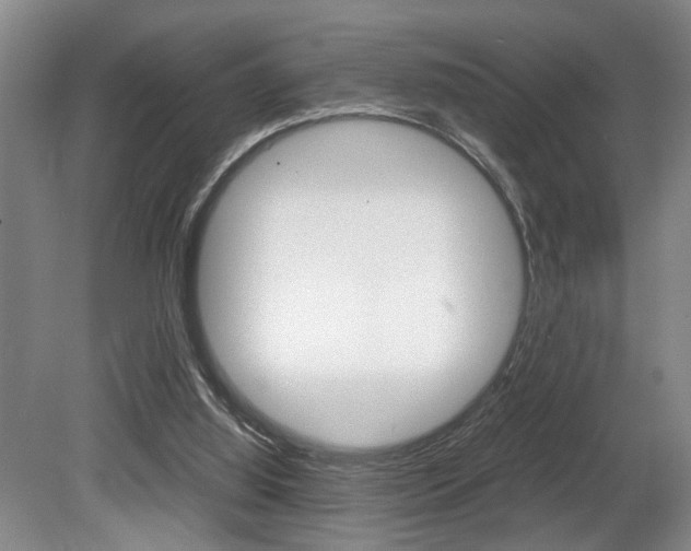 X0000080660060200612150746