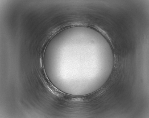 X0000080660061200612150746