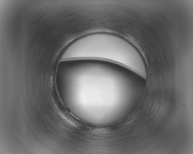 X0000080660063200612150746
